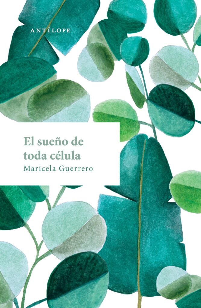 El sueño de toda célula